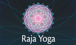 Raja Yoga 2024